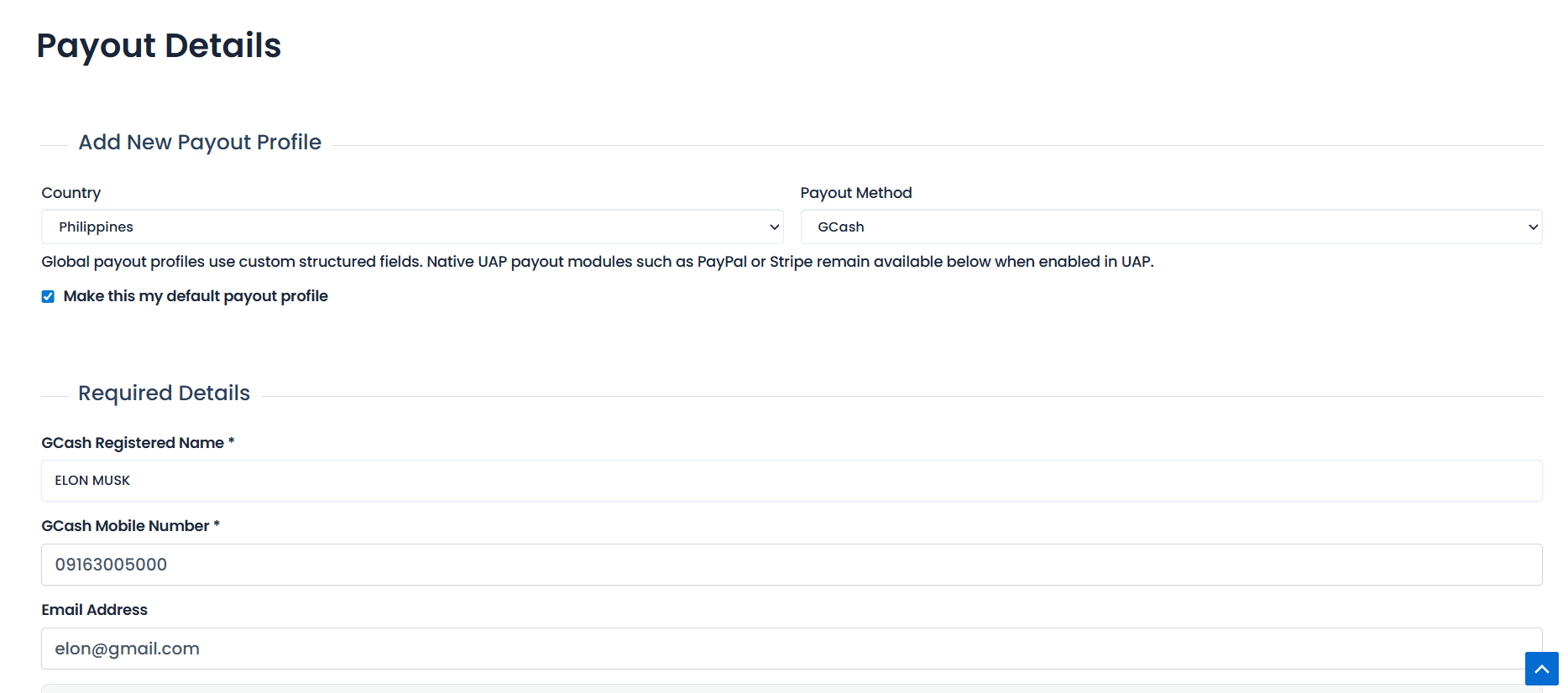 Affiliate payout details form